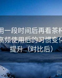 连续使用一段时间后再看茶杯狐官方入口：高频使用后的习惯变化与效率提升（对比后）