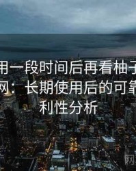 连续使用一段时间后再看柚子影视电脑版官网：长期使用后的可靠性与便利性分析