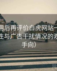 多次使用后再评价白虎网站一区：播放稳定性与广告干扰情况的观察（新手向）