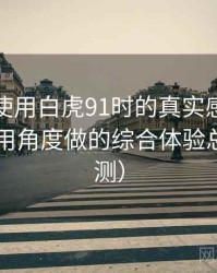 第一次使用白虎91时的真实感受：从日常使用角度做的综合体验总结（实测）