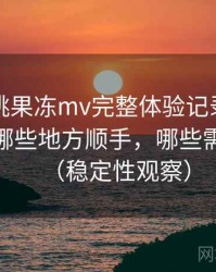 天美密桃果冻mv完整体验记录：日常使用中哪些地方顺手，哪些需要适应（稳定性观察）