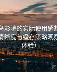 围绕蜂鸟影院的实际使用感想：加载速度、清晰度与缓存策略观察（长期体验）