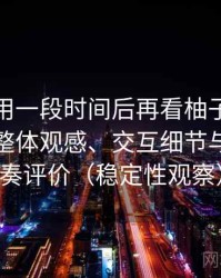 连续使用一段时间后再看柚子影视电脑版：整体观感、交互细节与使用节奏评价（稳定性观察）