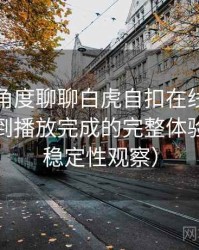 从用户角度聊聊白虎自扣在线：从进入首页到播放完成的完整体验过程（稳定性观察）