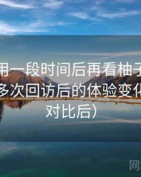 连续使用一段时间后再看柚子影视电脑版：多次回访后的体验变化记录（对比后）