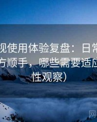 红桃影视使用体验复盘：日常使用中哪些地方顺手，哪些需要适应（稳定性观察）