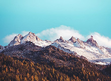 天美糖心使用体验复盘：在手机与电脑端的使用差异与稳定性表现（新手向）