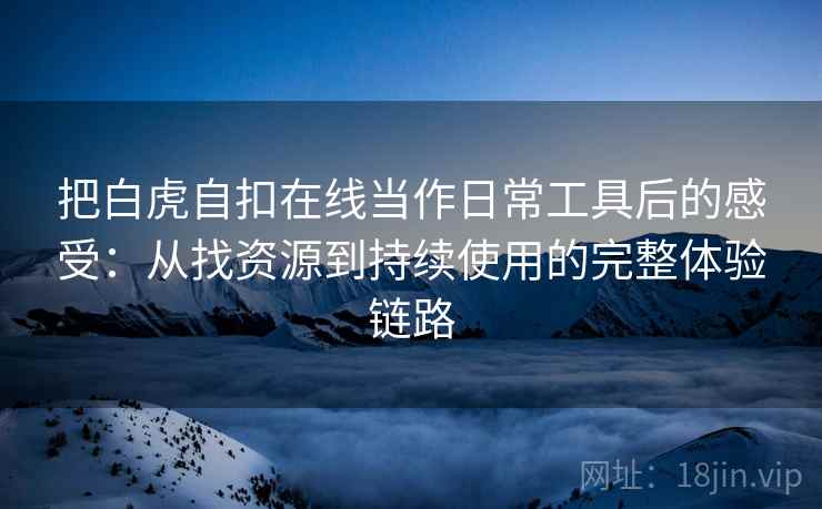 把白虎自扣在线当作日常工具后的感受：从找资源到持续使用的完整体验链路