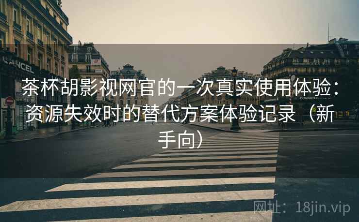 茶杯胡影视网官的一次真实使用体验：资源失效时的替代方案体验记录（新手向）