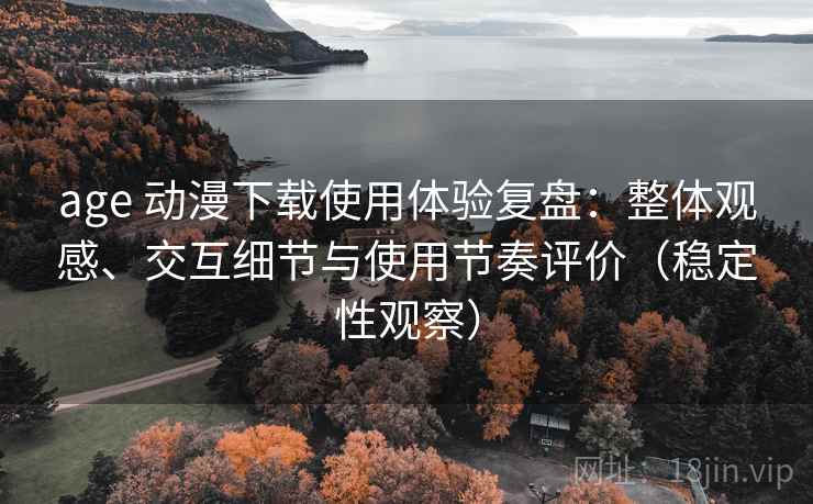 age 动漫下载使用体验复盘：整体观感、交互细节与使用节奏评价（稳定性观察）