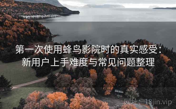 第一次使用蜂鸟影院时的真实感受：新用户上手难度与常见问题整理