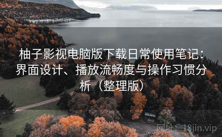 柚子影视电脑版下载日常使用笔记：界面设计、播放流畅度与操作习惯分析（整理版）